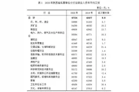 2020年陕西私营单位就业人员年平均工资47724元图片
