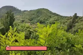 小山村来了大专家！“呵护村民健康，助力乡村振兴”走进小槲疃村图片