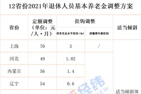 10余省份上调养老金！多地增额7月前到账图片