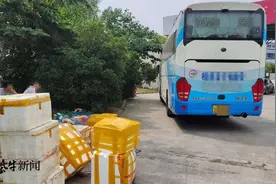 民警惊呆了：大巴行李舱藏了2吨花蛤7只狗图片