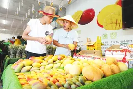 三亚盛夏的果实“邀”你来尝鲜图片