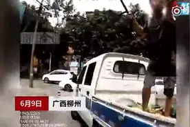 视频疯传！柳州一商贩乱摆乱卖被查，把城管打得头破血流图片