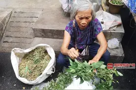 听说端午节泡药浴能祛湿排毒？这些讲究你可能还不知道图片