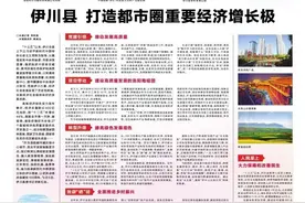 洛阳篇丨伊川县 打造都市圈重要经济增长极图片