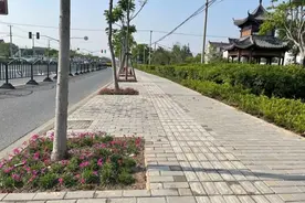 快看！上海这个著名的地标周边道路大变样图片