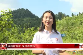 满园椒香浓 采摘有技巧图片