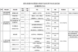 肥东县2021年面向全国部分高校引进21名优秀毕业生图片