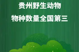 贵州野生动物物种数量全国第三图片