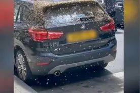 怪事！曼彻斯特市中心成千蜜蜂落在一辆汽车上图片