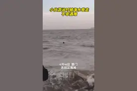 海水退潮时游泳被浪卷走，厦门一小伙不幸遇难图片