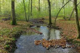 《自然》最新论文：全球超半数河流每年至少断流一天图片