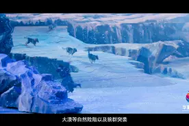 “30头狼冲向观众”背后，西安的实景演艺江湖图片