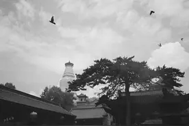 毕业季 40余家山西景区齐“放价”图片