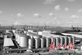 为国植胶 披荆斩棘图片