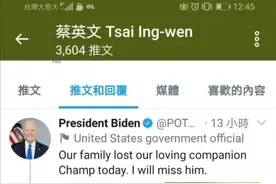 蔡英文哀悼“远方的狗”，被台湾网友痛骂图片