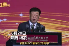 2020届毕业生，这个夏天你“回家”了吗？图片