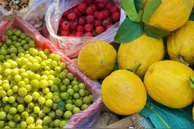 君迁子、余甘子、胡颓子、黑藨子......云南果子的滋味图片