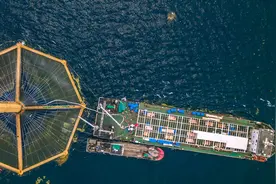 开创全球温暖海域三文鱼养殖先河！“深蓝一号”首次收鱼图片