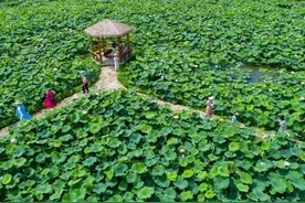 湖州市级三好学生、优秀学生干部名单公布图片