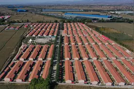 建党百年特别报道丨河北蔚县：让易地扶贫搬迁户安居乐业图片