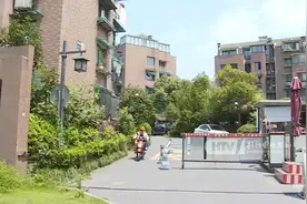杭州多个小区惊现“山大王”，可能还不止一只！究竟从哪里来的？图片