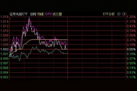 竟然5年都不涨！这个板块连机构也坐不住了，逾百亿资金已借ETF出逃！但今天迎来了进场抄底的基金图片