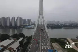 直击芳村！鹤洞大桥车水马龙图片