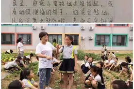 小小劳动田 五育大课堂——河南省武陟县中小学劳动教育开展侧记图片