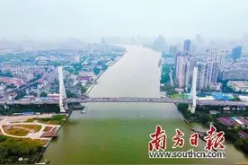 芳村“重启”时刻：穿过鹤洞大桥 去见我念的人图片