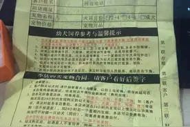 多名消费者买到“星期狗”索赔遭拒，涉事宠物店曾被多人起诉图片