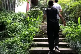 杭州多户人家闯入“吃货”，饭菜、牛奶、水果都不放过！保安崩溃：抓不住啊图片