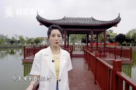 中国农村改革第一村！薇娅探访安徽凤阳小岗村图片
