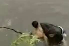 丈夫跳水救人妻子岸上安慰家属：不用害怕，我老公会游泳视频封面