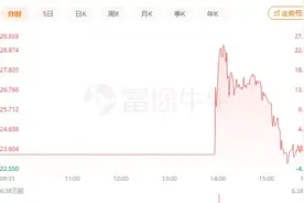 2年多烧掉64亿，抢着为你买菜的“小巨头”上市！想融资23亿到手只有5亿多，一度还惊险破发图片