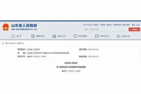 闪电深1度｜山东未来网络研究院组建获批，将点亮哪些未来之光？图片