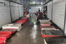 等了4月终于等来啦，钱塘江江鲜回归，鳗鱼100元一小条，更多“鲜”在路上图片