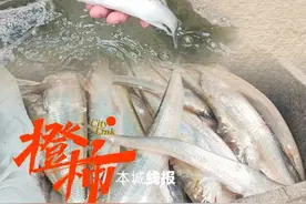 钱塘江开渔啦！江鳗、刀鱼、鲈鱼、鲫鱼……盼了4个月的吃货，去哪里买到正宗江鲜？图片
