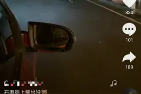 四川大棕熊凌晨街头奔跑，网友集体“学习”交通规则，公安：未造成群众受伤图片