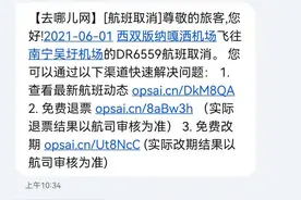 瑞丽航空取消航班致乘客错过下一程航班，退改签费用谁承担？图片