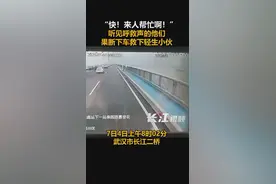 惊险！长江大桥上，有人死死拽住小伙，公交司机乘客一拥而上……图片