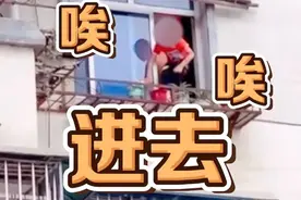 男孩从5楼窗户爬出，对面邻居大声吼回！网友：可能拯救一个家图片