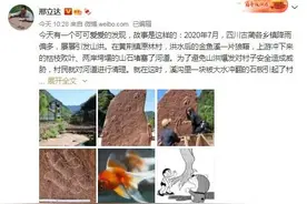 脚印外形像金鱼丨古蔺发现白垩纪肉食性恐龙足迹图片