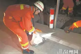 三米蟒蛇横行路中 民警消防合力捕获图片