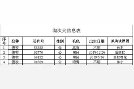 中国刑警学院淘汰犬拍出15.1万高价图片