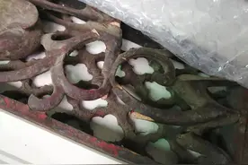 消费曝光台｜男子称清代挂屏邮寄时损坏，圆通已确认内件破损图片