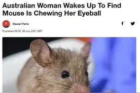 澳洲农妇半夜疼醒，竟是老鼠在咬她眼球！老鼠伤人开始越来越多了图片