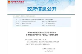 城事｜天津最新规划！这些地区迎来大发展图片