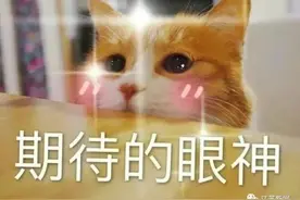 最新发布！高考录取结果今起开始查询！6种方式任选图片