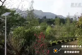 老乡和你唠｜一种小吃富了一个村儿