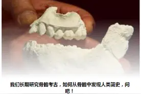 什么是人骨考古学？如何从骨骼中发现人类简史？图片